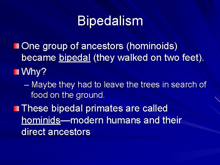 Bipedalism One group of ancestors (hominoids) became bipedal (they walked on two feet). Why?