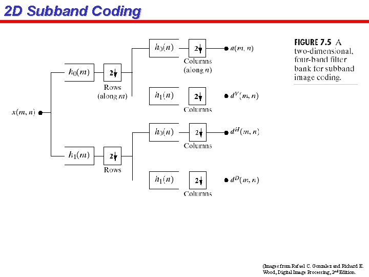 2 D Subband Coding (Images from Rafael C. Gonzalez and Richard E. Wood, Digital