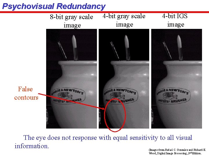 Psychovisual Redundancy 8 -bit gray scale image 4 -bit IGS image False contours The