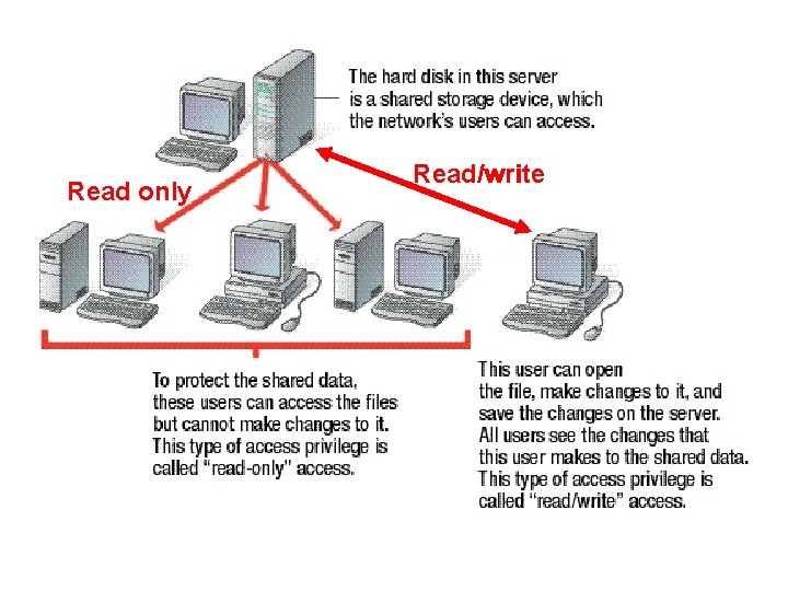lesson 17 Networking Basics This lesson includes the