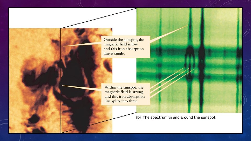 SOLAR MAGNETISM 