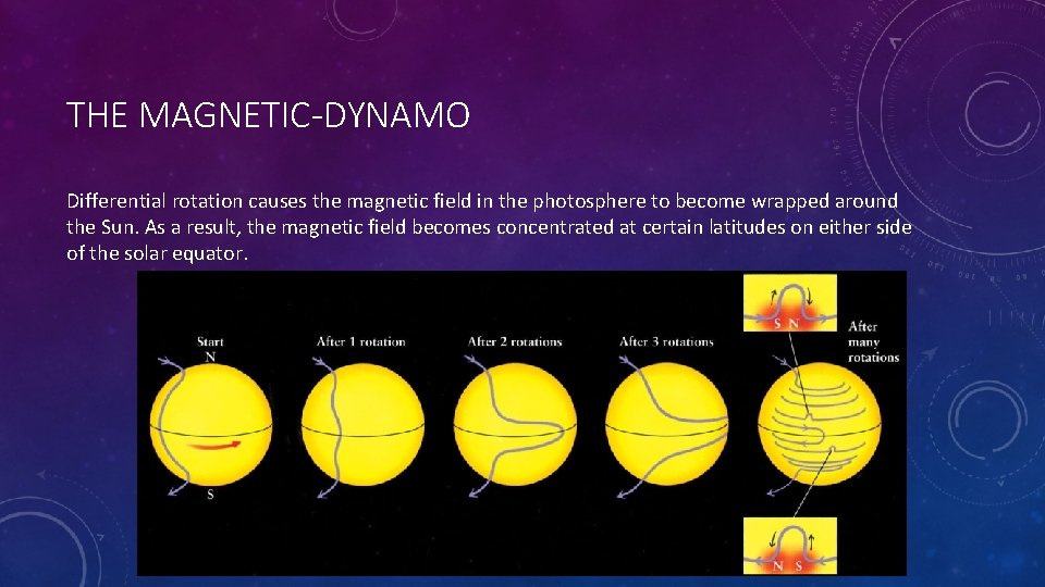 THE MAGNETIC-DYNAMO Differential rotation causes the magnetic field in the photosphere to become wrapped