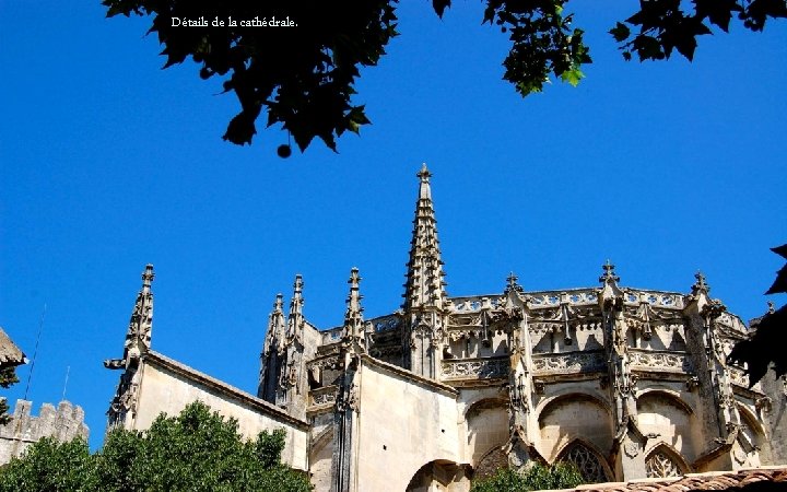 Détails de la cathédrale. 