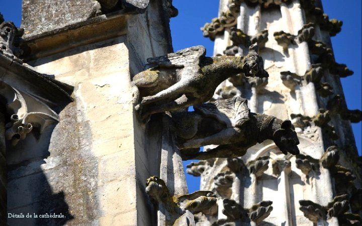 Détails de la cathédrale. 