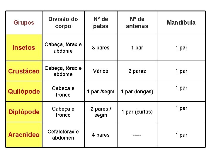 Grupos Divisão do corpo Nº de patas Nº de antenas Mandíbula Insetos Cabeça, tórax