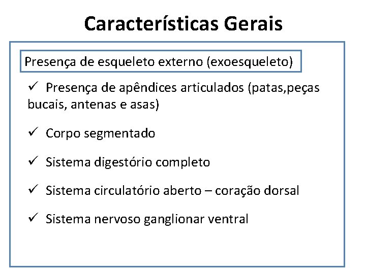 Características Gerais Presença de esqueleto externo (exoesqueleto) ü Presença de apêndices articulados (patas, peças