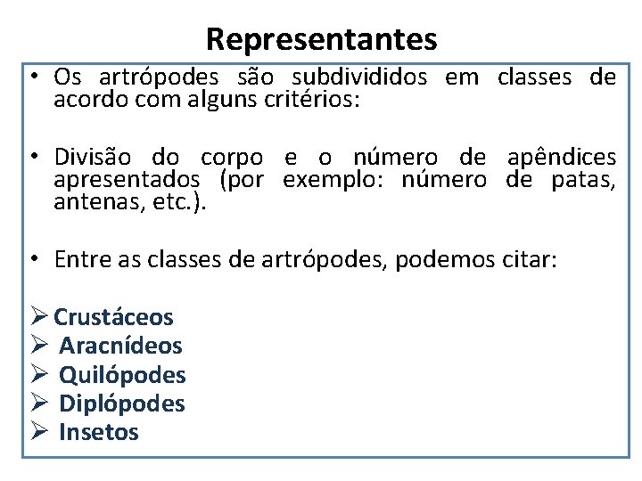 Representantes • Os artrópodes são subdivididos em classes de acordo com alguns critérios: •