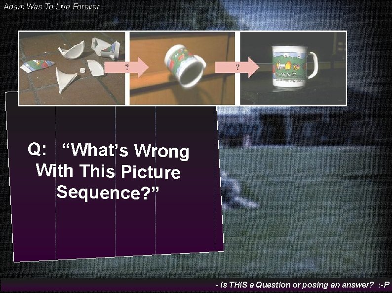 Adam Was To Live Forever Q: “What’s Wrong With This Picture Sequence? ” -