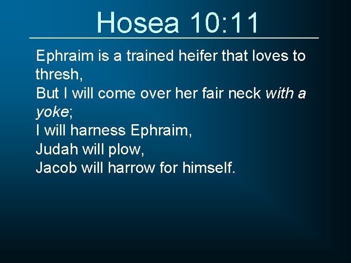 Hosea 10: 11 Ephraim is a trained heifer that loves to thresh, But I