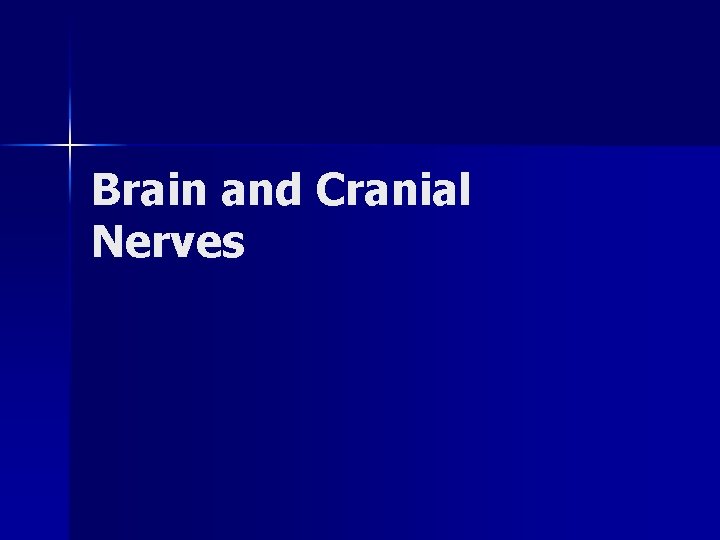 Brain and Cranial Nerves 