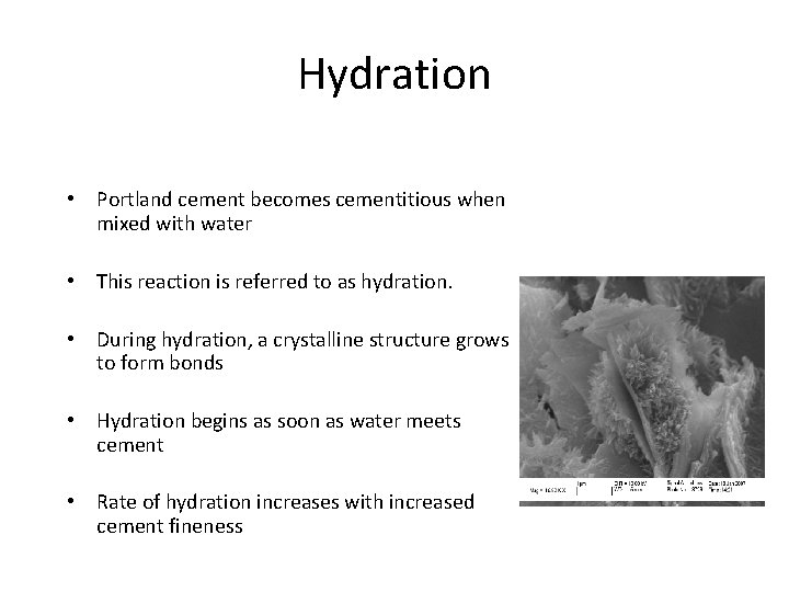 Hydration • Portland cement becomes cementitious when mixed with water • This reaction is