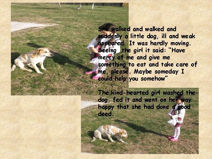 She walked and suddenly a little dog, ill and weak appeared. It was hardly