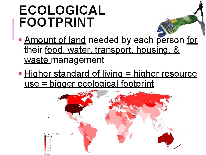 ECOLOGICAL FOOTPRINT § Amount of land needed by each person for their food, water,