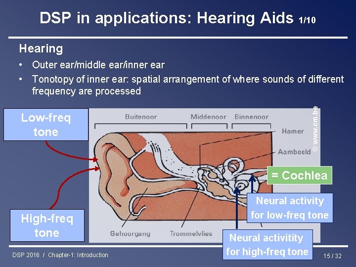 DSP in applications: Hearing Aids 1/10 Hearing © www. cm. be • Outer ear/middle