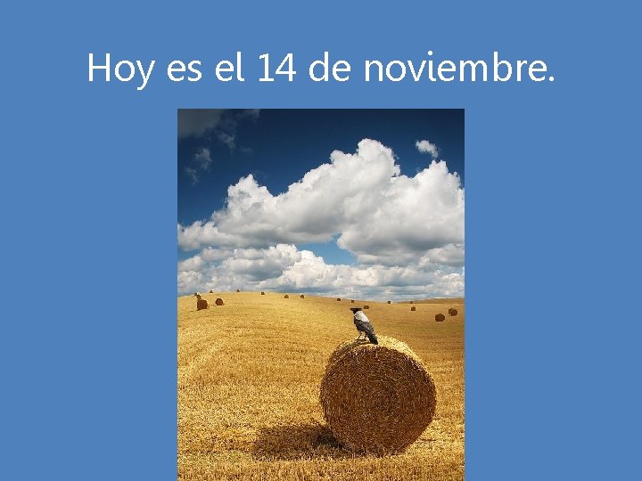 Hoy es el 14 de noviembre. 