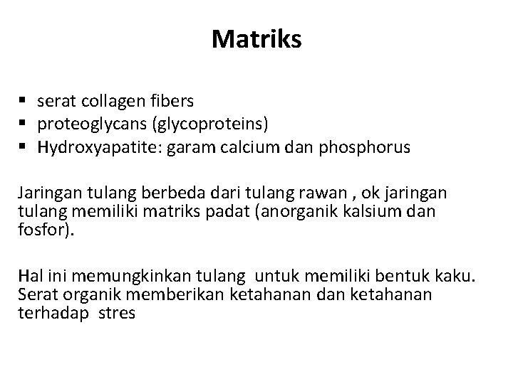 Matriks § serat collagen fibers § proteoglycans (glycoproteins) § Hydroxyapatite: garam calcium dan phosphorus