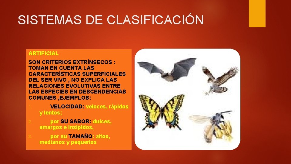 SISTEMAS DE CLASIFICACIÓN ARTIFICIAL SON CRITERIOS EXTRÍNSECOS : TOMAN EN CUENTA LAS CARACTERÍSTICAS SUPERFICIALES