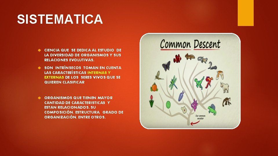 SISTEMATICA CIENCIA QUE SE DEDICA AL ESTUDIO DE LA DIVERSIDAD DE ORGANISMOS Y SUS