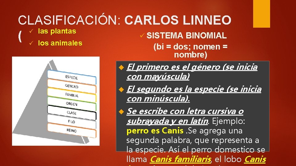 CLASIFICACIÓN: CARLOS LINNEO ü las plantas ü SISTEMA BINOMIAL ( ü los animales (bi