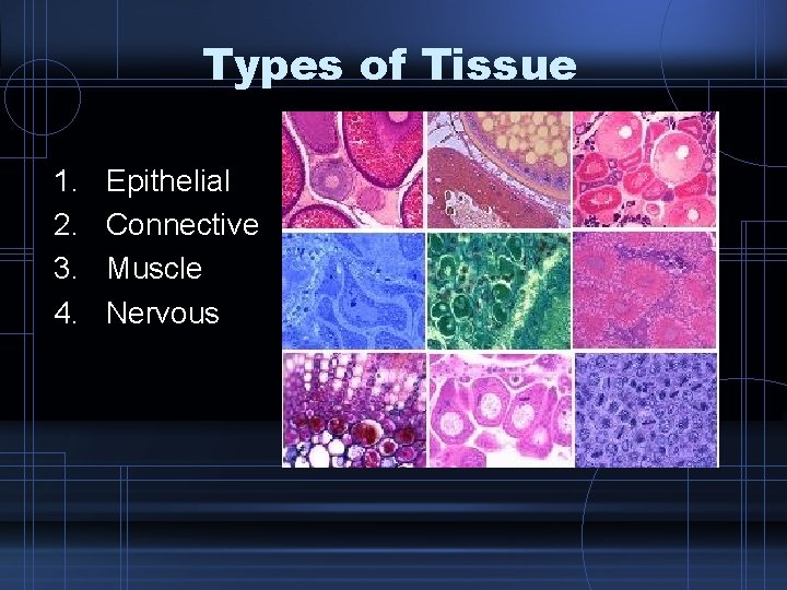 Types of Tissue 1. 2. 3. 4. Epithelial Connective Muscle Nervous 