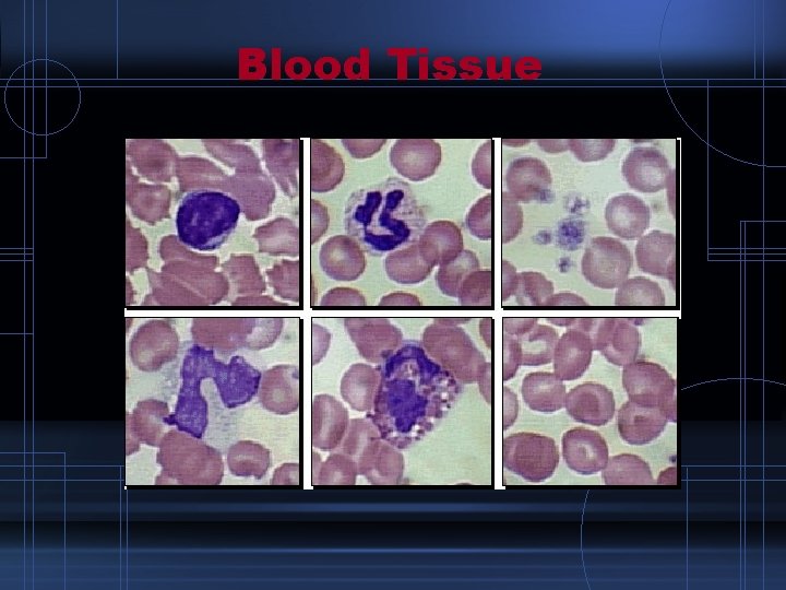 Blood Tissue 