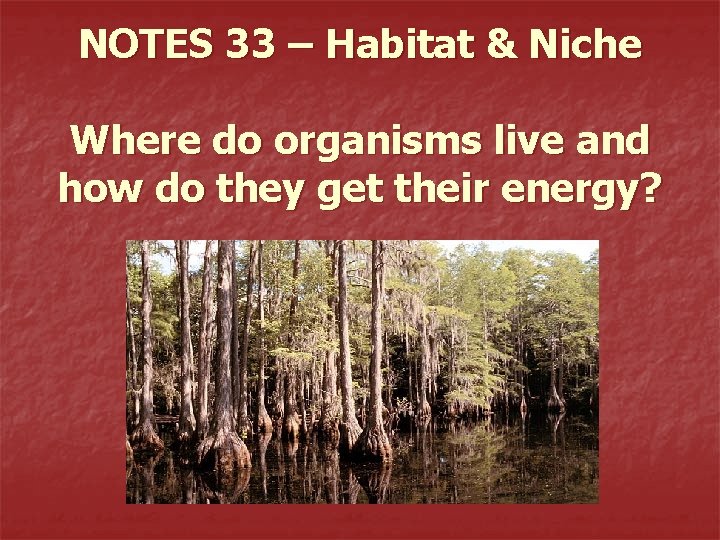 NOTES 33 – Habitat & Niche Where do organisms live and how do they