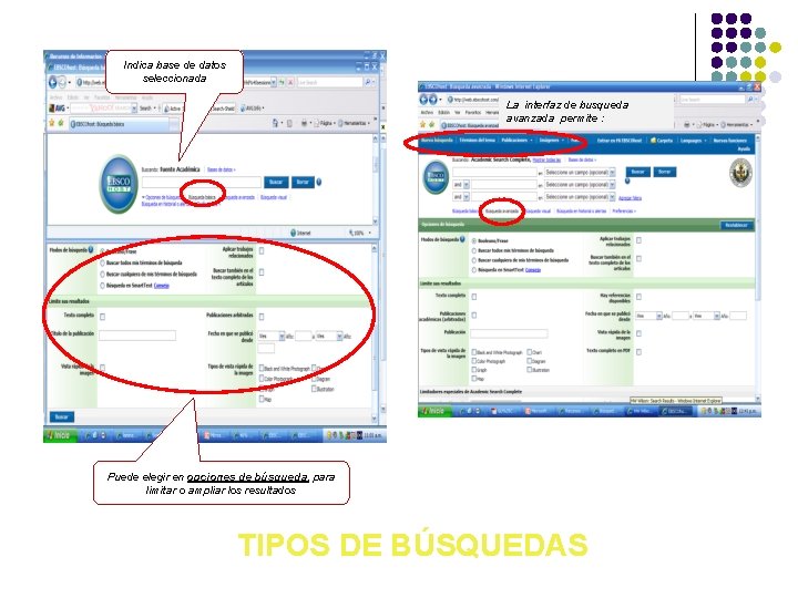 Indica base de datos seleccionada La interfaz de busqueda avanzada permite : Puede elegir