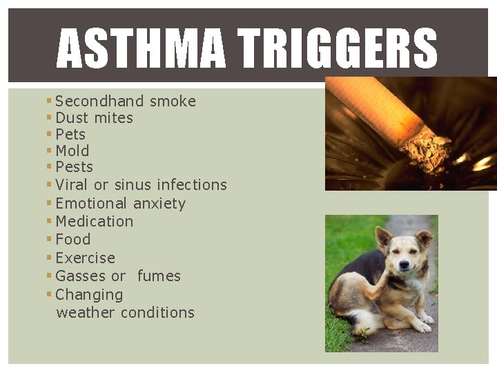 ASTHMA TRIGGERS § Secondhand smoke § Dust mites § Pets § Mold § Pests