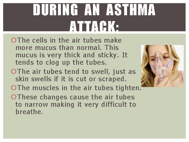 DURING AN ASTHMA ATTACK: The cells in the air tubes make more mucus than