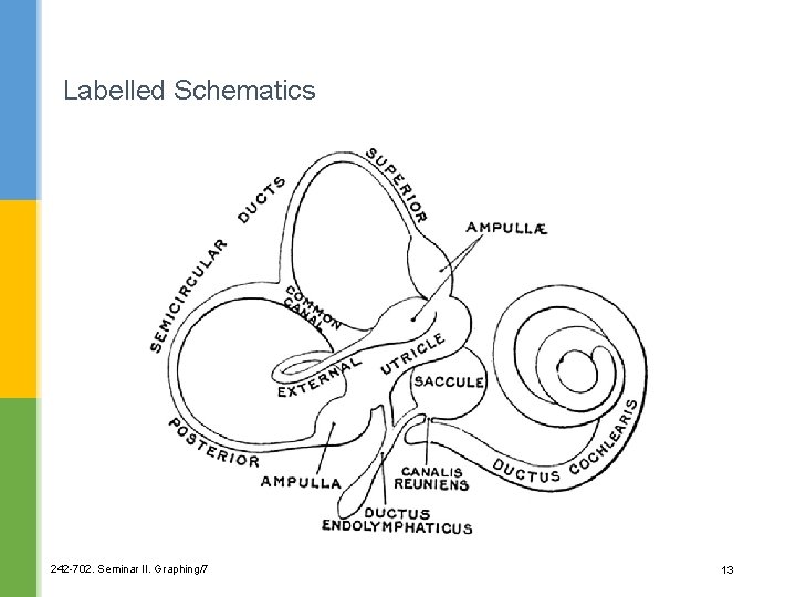 Labelled Schematics 242 -702. Seminar II. Graphing/7 13 