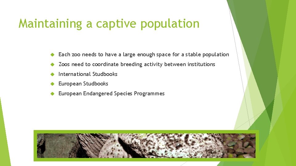 Maintaining a captive population Each zoo needs to have a large enough space for