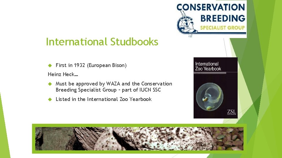 International Studbooks First in 1932 (European Bison) Heinz Heck… Must be approved by WAZA