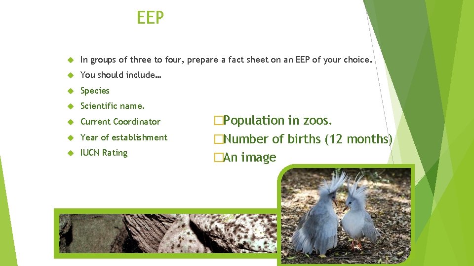 EEP In groups of three to four, prepare a fact sheet on an EEP