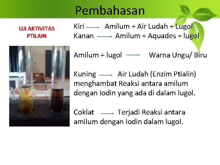 Pembahasan UJI AKTIVITAS PTILAIN Kiri Kanan Amilum + Air Ludah + Lugol Amilum +