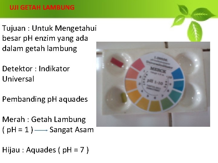 UJI GETAH LAMBUNG Tujuan : Untuk Mengetahui besar p. H enzim yang ada dalam