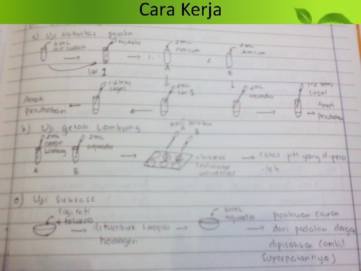 Cara Kerja 