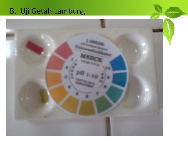 B. Uji Getah Lambung 
