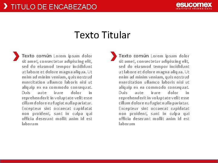 TITULO DE ENCABEZADO Texto Titular Texto común Lorem ipsum dolor sit amet, consectetur adipiscing