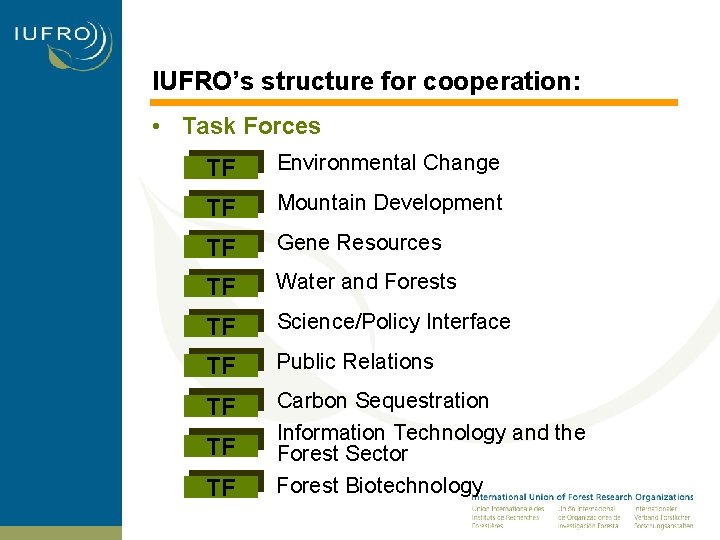 IUFRO’s structure for cooperation: • Task Forces TF Environmental Change TF Mountain Development TF