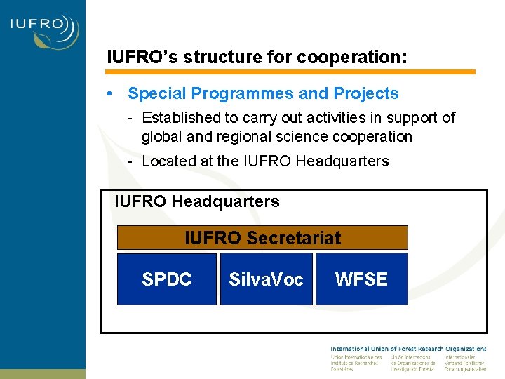 IUFRO’s structure for cooperation: • Special Programmes and Projects - Established to carry out