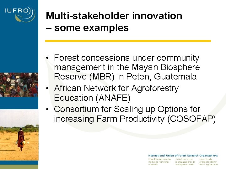 Multi-stakeholder innovation – some examples • Forest concessions under community management in the Mayan