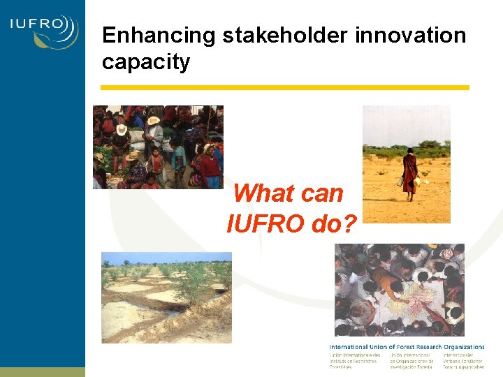 Enhancing stakeholder innovation capacity What can IUFRO do? 