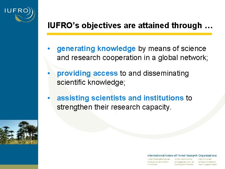 IUFRO’s objectives are attained through … • generating knowledge by means of science and