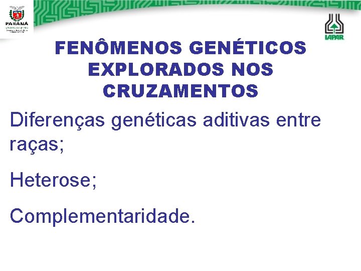 FENÔMENOS GENÉTICOS EXPLORADOS NOS CRUZAMENTOS Diferenças genéticas aditivas entre raças; Heterose; Complementaridade. 