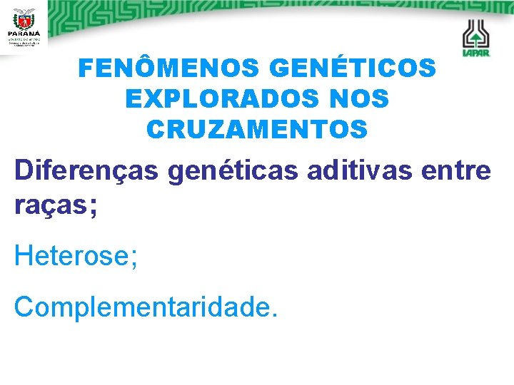 FENÔMENOS GENÉTICOS EXPLORADOS NOS CRUZAMENTOS Diferenças genéticas aditivas entre raças; Heterose; Complementaridade. FENÔMENOS GENÉTICOS EXPLORADOS NOS CRUZAMENTOS Diferenças genéticas aditivas entre raças; Heterose; Complementaridade.