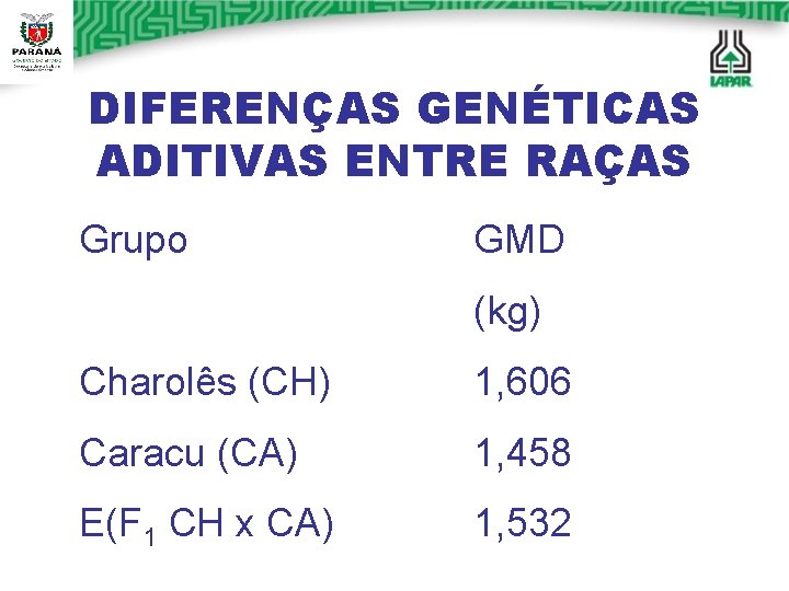 DIFERENÇAS GENÉTICAS ADITIVAS ENTRE RAÇAS Grupo GMD (kg) Charolês (CH) 1, 606 Caracu (CA)