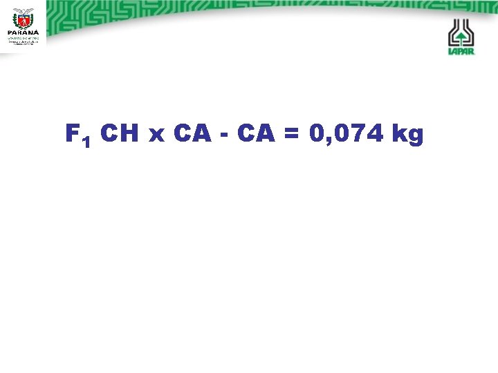 F 1 CH x CA - CA = 0, 074 kg F 1 CH x CA - CA = 0, 074 kg