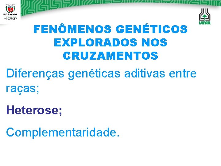 FENÔMENOS GENÉTICOS EXPLORADOS NOS CRUZAMENTOS Diferenças genéticas aditivas entre raças; Heterose; Complementaridade. 