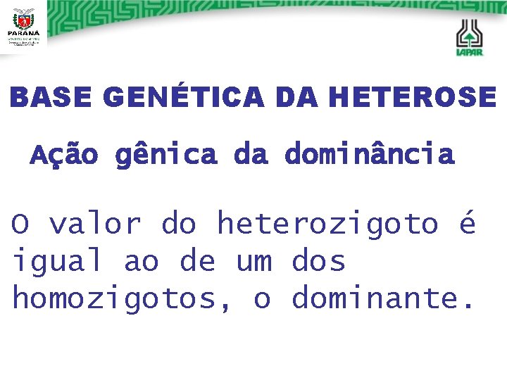 BASE GENÉTICA DA HETEROSE Ação gênica da dominância O valor do heterozigoto é igual