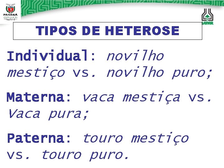 TIPOS DE HETEROSE Individual: novilho mestiço vs. novilho puro; Materna: vaca mestiça vs. Vaca